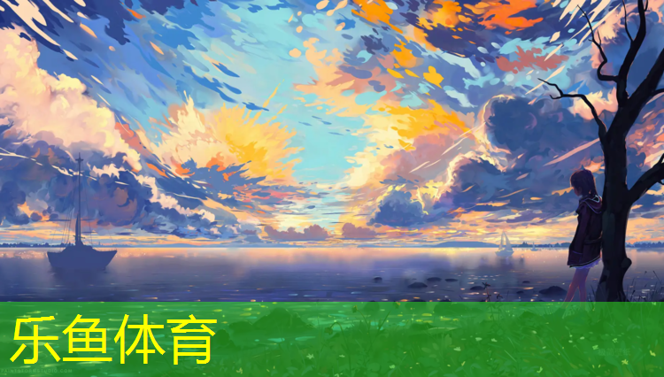板式网球网反弹效果